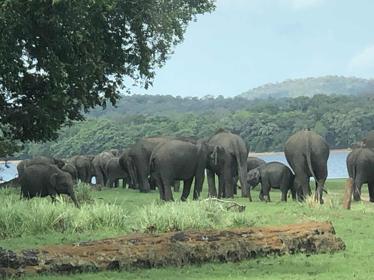 WhatsApp Image 2025-08-21 at 12.54.15.jpeg